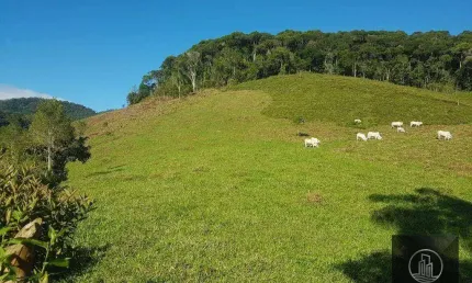 Fazenda à venda, 202000 m² por r$ 980.000,00 - serra - iporanga/sp