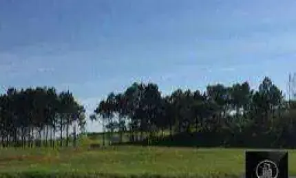 Área, 10900 m² - venda por r$ 3.900.000 ou aluguel por r$ 10.000/mês - distrito industrial - sorocaba/sp