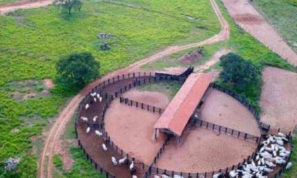Fazenda à venda, 47720000 m² por R$ 160.000.000,00 - Centro - Ribas do Rio Pardo/MS