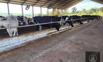 Fazenda à venda, 750200 m² por R$ 4.500.000,00 - Centro - Emilianópolis/SP
