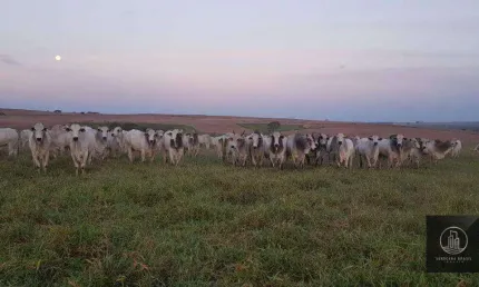 Fazenda à venda por R$ 165.000.000 - Centro - Pompéia/SP