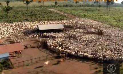 Fazenda à venda, 4270000000 m² por R$ 8.000.000.000 - Nova Marabá - Marabá/PA