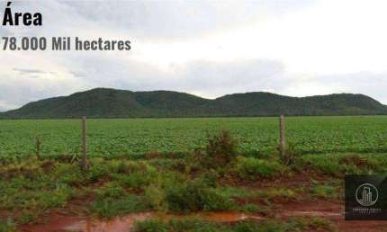 Fazenda à venda na Alameda A, Nova Corumbá, Corumbá