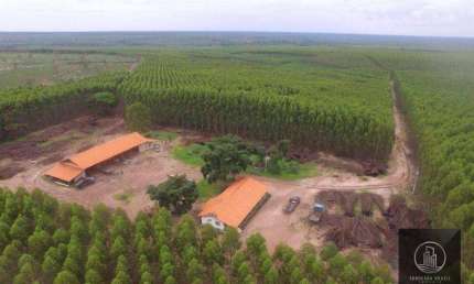 Fazenda à venda por R$ 1.500.000.000 - Centro - Ribas do Rio Pardo/MS