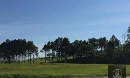 Área, 10900 m² - venda por r$ 3.900.000,00 ou aluguel por r$ 9.500,00/mês - éden - sorocaba/sp