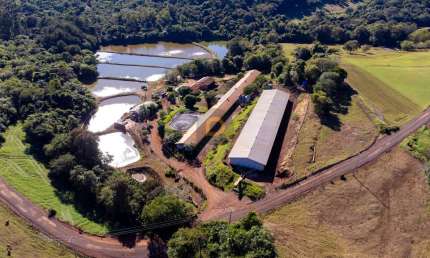 Chácara / sítio com 3 quartos à venda na Área Rural de Toledo, Toledo 