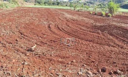 Chácara à venda, 1000 m² - Patrimônio Selva - Londrina/PR
