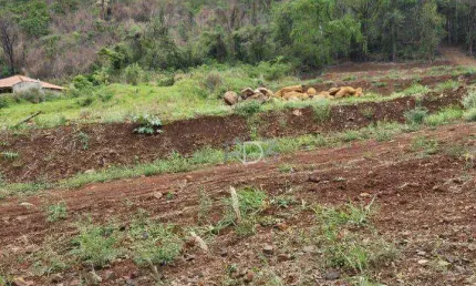 Chácara / sítio à venda na Estrada Do Limoeiro, 1, Novo Aeroporto, Londrina