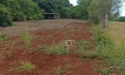 Chácara à venda, 10000 m² por r$ 480.000,00 - zona rural - ibiporã/pr