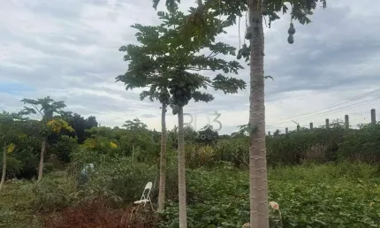 Chácara à venda, 2000 m² por R$ 175.000 - USINA 3 BOCAS- Londrina/PR