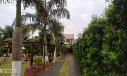 Chácara com 1 dormitório à venda, 2500 m² por R$ 999.000,00 - Limoeiro - Londrina/PR