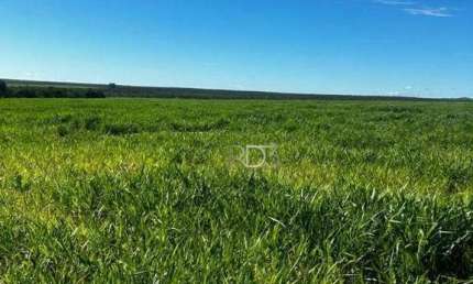 Fazenda à venda, 200 hectares, por R$ 5.000.000 - Abadia de Goiás - Abadia de Goiás/GO
