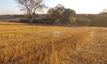 Chácara / sítio à venda na Rodovia Br-369, 1, Contorno Norte, Ibiporã