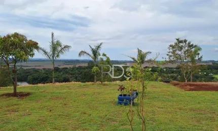 Terreno à venda, 2000 m² por R$ 350.000,00 - Limoeiro - Londrina/PR