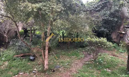 TERRENO NO PALOMA, BEM LOCALIZADO!! 480m² DE ÁREA TOTAL, ZR4