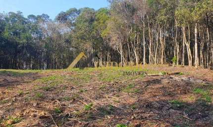 EXCELENTE CHÁCARA EM CAMPO LARGO! 20.000m² DE ÁREA TOTAL
