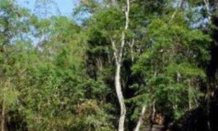 Terreno em condomínio fechado em aclive com área de 1000m2