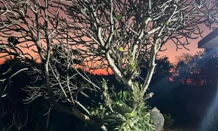 Chácara / sítio com 4 quartos à venda no Centro, Mairinque 