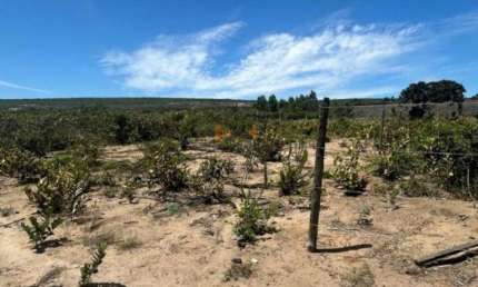 Terreno à venda na Rodovia BR-116, Distrito Industrial, Vitória da Conquista
