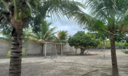 Chácara / sítio à venda em José Gonçalves, Vitória da Conquista 