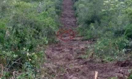 Chácara à venda 1 Quarto, 900M², Zona Rural, Reserva do Cabaçal - MT