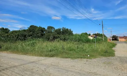 Terreno à venda na rua benemérito martim schafascheck, vila nova, mafra por r$ 255.000