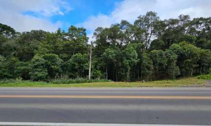 Terreno à venda na Rodovia BR 280, São Pedro, Rio Negrinho por R$ 1.500.000
