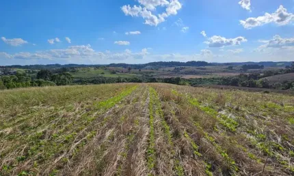 Chácara / sítio à venda na Campo Lençol, Campo Lençol, Rio Negrinho por R$ 890.000