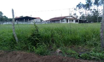 Fazenda 41 Hectares, Excelente Estrutura c/Área para Loteamento em Timbaúba