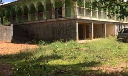 Ótimo para Minha Casa Minha Vida ou Lotear, Granja 3,3 Hec, Paudalho, Aceito Imóvel ou Carro