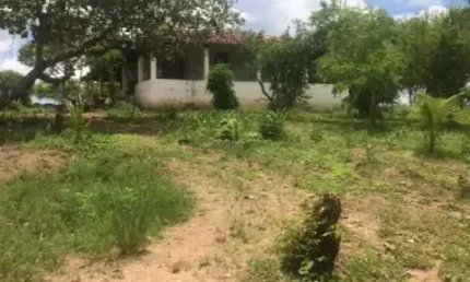 Excelente Granja 12 hec nas Margens da PE 75 em Aliança, Aceito Imóvel ou Automóvel