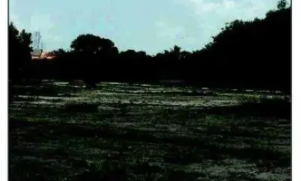 Oportunidade Única em IGARASSU - PE | Tipo: Terreno | Negociação: Venda Direta Online  | Situação: Imóvel