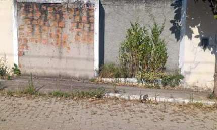 Oportunidade Única em BELO JARDIM - PE | Tipo: Casa | Negociação: Venda Direta Online  | Situação: Imóvel