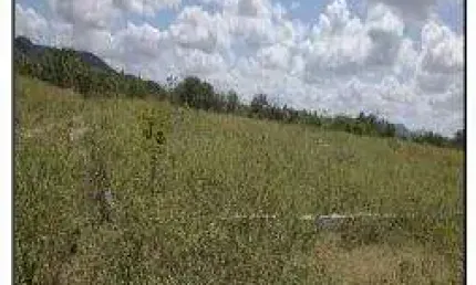 Oportunidade Única em JATAUBA - PE | Tipo: Terreno | Negociação: Venda Direta Online  | Situação: Imóvel