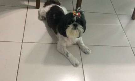 Melhor 3 Quartos, 2 Vagas, 1ºAndar, Lazer, Madalena, Ac Carro: A Lili não Está à Venda