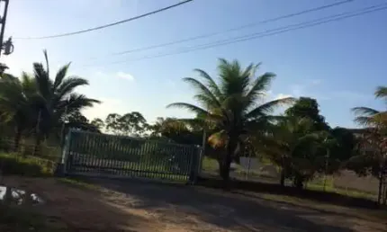 Ótimo Terreno 9.000m2+Galpão, 100% Plano, Guabiraba Prox. da BR 101, Aceito Carro