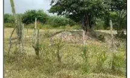 Oportunidade única em goiana - pe | tipo: terreno | negociação: venda direta online  | situação: imóvel