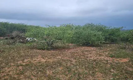 Oportunidade Única em SAO VICENTE - RN | Tipo: Terreno | Negociação: Venda Direta Online  | Situação: Imóvel
