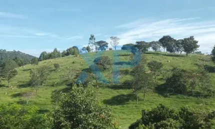 Fazenda à venda, 2 quartos, ZONA RURAL - SANTO ANTÔNIO DOS CAMPOS/MG
