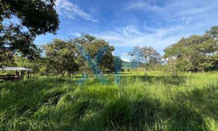 FAZENDINHA RURAL A VENDA NO MUNICÍPIO DE SÃO JOSÉ DOS SALGADOS-MG
