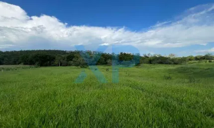 FAZENDINHA RURAL A VENDA NO MUNICÍPIO DE SÃO SEBASTIÃO DO OESTE-MG