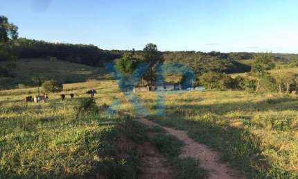 FAZENDINHA A VENDA NO MUNICÍPIO DE SÃO SEBASTIÃO DO OESTE-MG