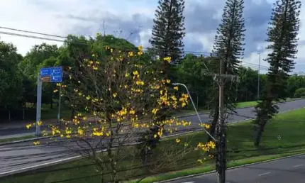 Sala comercial à venda na Avenida Padre Cacique, --, Praia de Belas, Porto Alegre por R$ 556.416