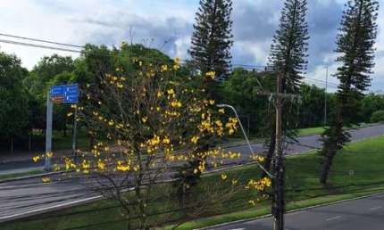 Sala comercial à venda na Avenida Padre Cacique, --, Praia de Belas, Porto Alegre por R$ 388.608