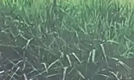 Terreno à venda no Morada dos Nobres, Araçatuba 