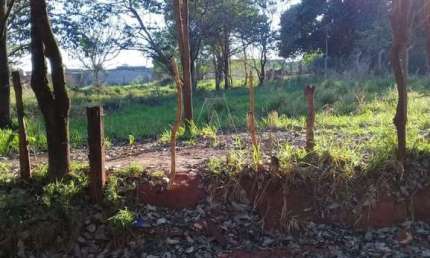 Chácara / sítio com 1 quarto à venda no Chácaras Moema, Araçatuba 