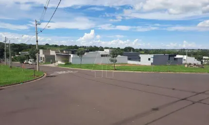 Terreno em condomínio fechado à venda no Santa Luzia, Araçatuba 