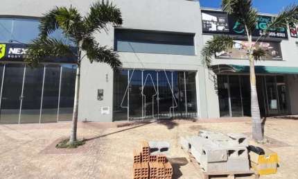 Ponto comercial para alugar no Centro, Araçatuba 