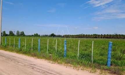 Fazenda à venda no Centro, Araçatuba 