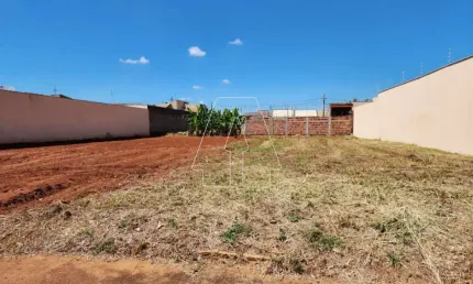 Terreno à venda no Ipanema, Araçatuba 